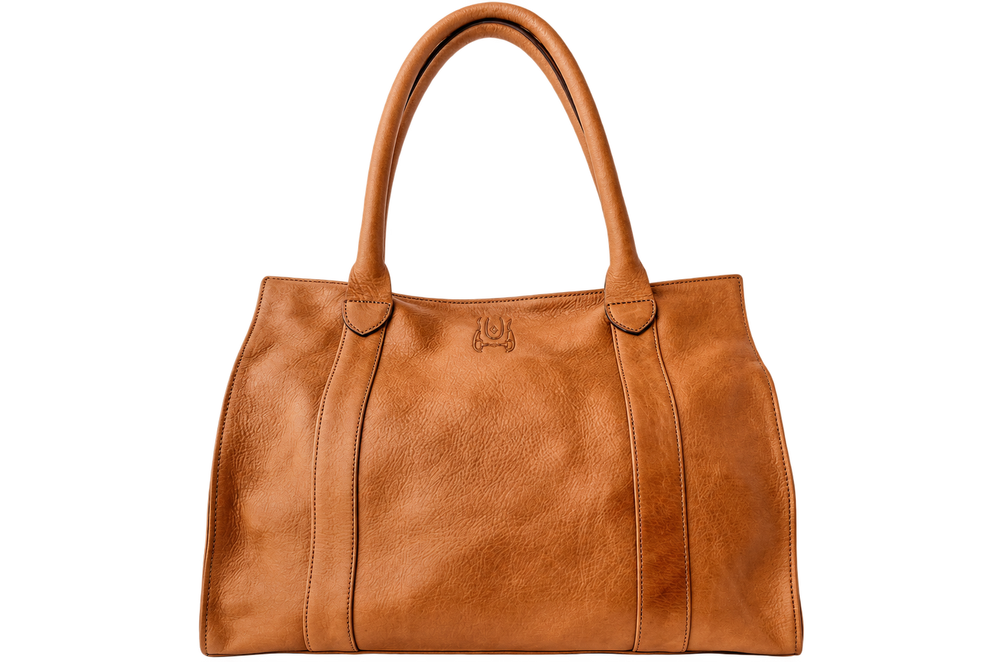 Viedma Bag
